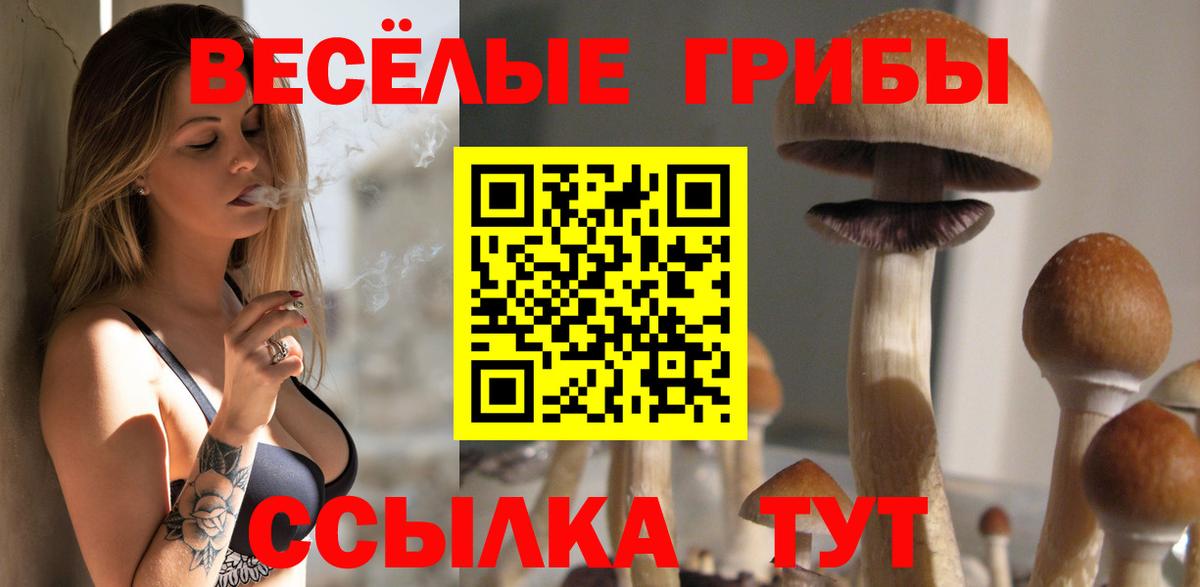 Новокуйбышевск  Псилоцибиновые грибы ЛСД  Галлюциногенные грибы мицелий  Вход с VPN 