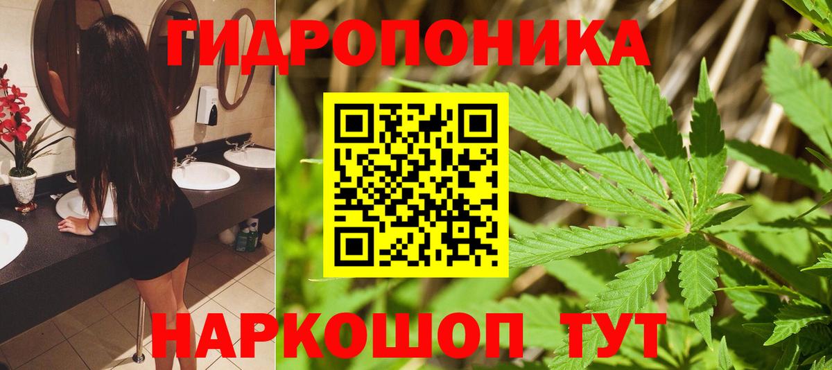 Бошки Шишки White Widow Новокуйбышевск